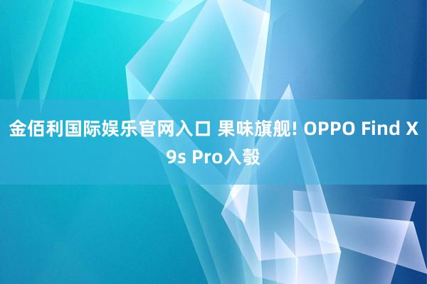 金佰利国际娱乐官网入口 果味旗舰! OPPO Find X9s Pro入彀