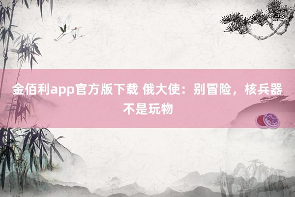 金佰利app官方版下载 俄大使：别冒险，核兵器不是玩物