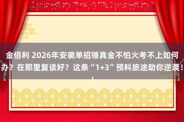金佰利 2026年安徽单招锤真金不怕火考不上如何办？在那里复读好？这条“1+3”预科旅途助你逆袭！