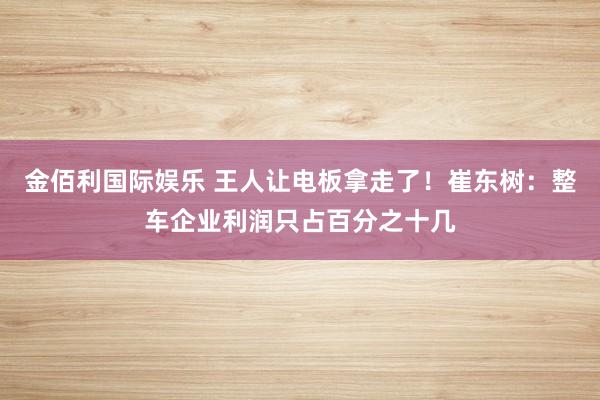 金佰利国际娱乐 王人让电板拿走了！崔东树：整车企业利润只占百分之十几