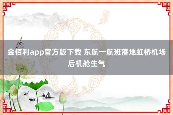 金佰利app官方版下载 东航一航班落地虹桥机场后机舱生气