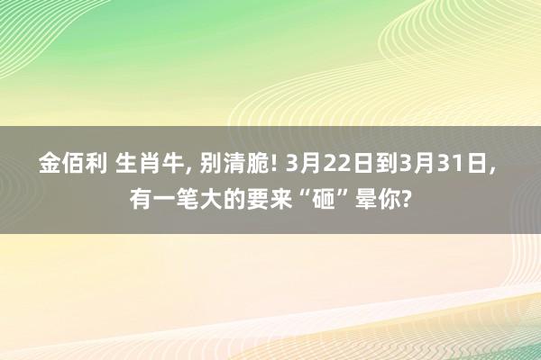 金佰利 生肖牛, 别清脆! 3月22日到3月31日, 有一笔大的要来“砸”晕你?