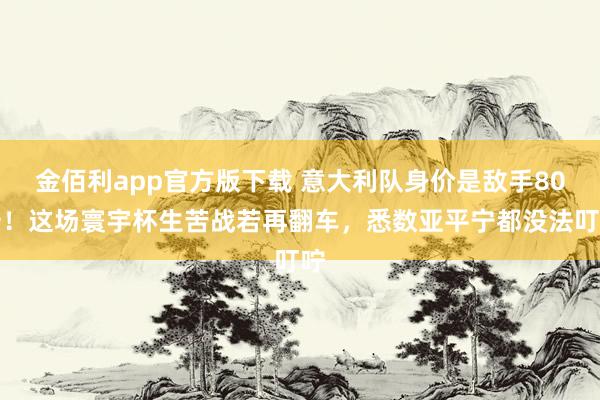 金佰利app官方版下载 意大利队身价是敌手80倍！这场寰宇杯生苦战若再翻车，悉数亚平宁都没法叮咛