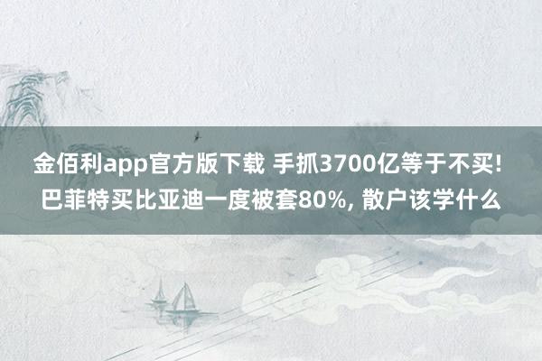 金佰利app官方版下载 手抓3700亿等于不买! 巴菲特买比亚迪一度被套80%, 散户该学什么