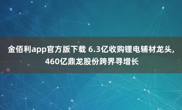 金佰利app官方版下载 6.3亿收购锂电辅材龙头, 460亿鼎龙股份跨界寻增长