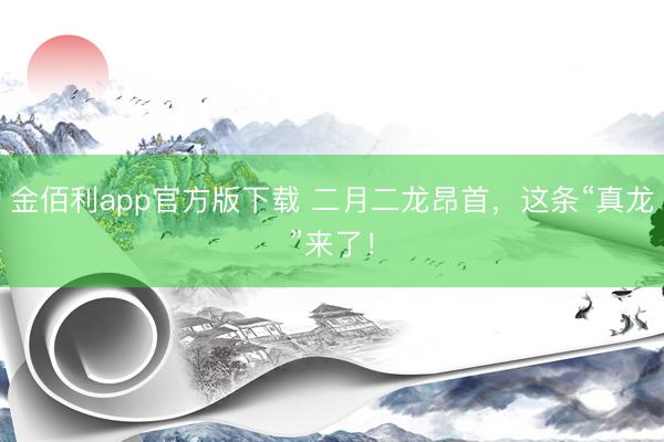 金佰利app官方版下载 二月二龙昂首，这条“真龙”来了！