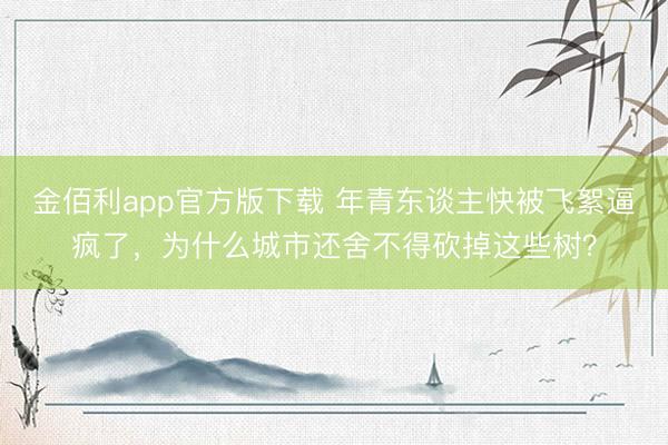 金佰利app官方版下载 年青东谈主快被飞絮逼疯了，为什么城市还舍不得砍掉这些树？