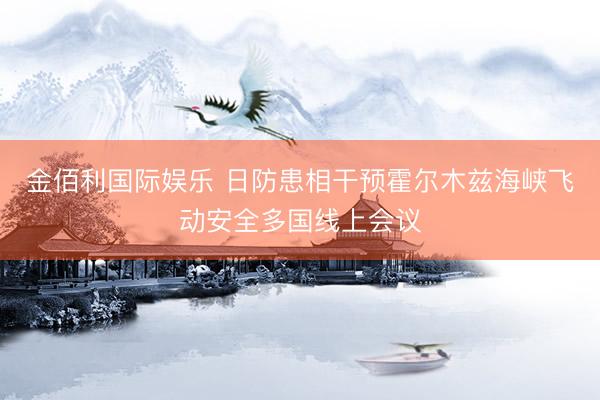 金佰利国际娱乐 日防患相干预霍尔木兹海峡飞动安全多国线上会议