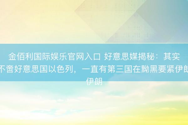 金佰利国际娱乐官网入口 好意思媒揭秘：其实不啻好意思国以色列，一直有第三国在黝黑要紧伊朗