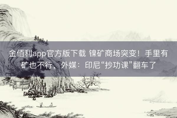 金佰利app官方版下载 镍矿商场突变！手里有矿也不行，外媒：印尼“抄功课”翻车了