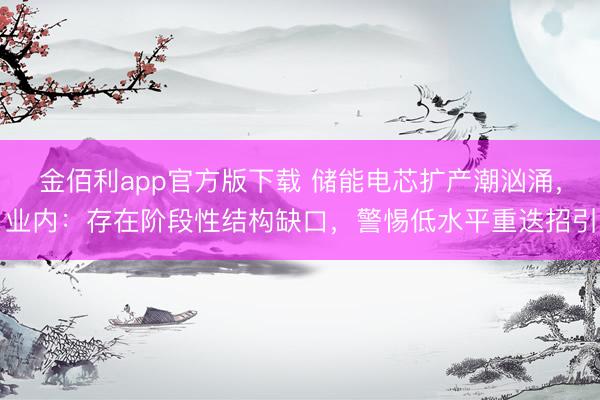 金佰利app官方版下载 储能电芯扩产潮汹涌，业内：存在阶段性结构缺口，警惕低水平重迭招引