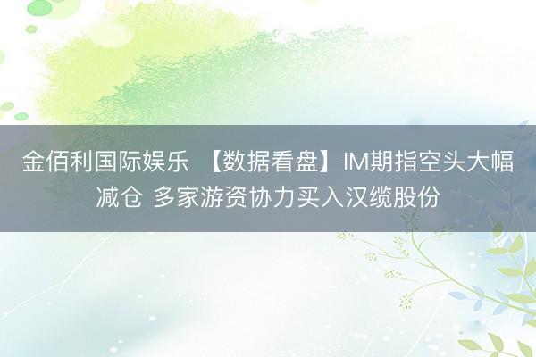 金佰利国际娱乐 【数据看盘】IM期指空头大幅减仓 多家游资协力买入汉缆股份