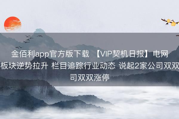 金佰利app官方版下载 【VIP契机日报】电网征战板块逆势拉升 栏目追踪行业动态 说起2家公司双双涨停