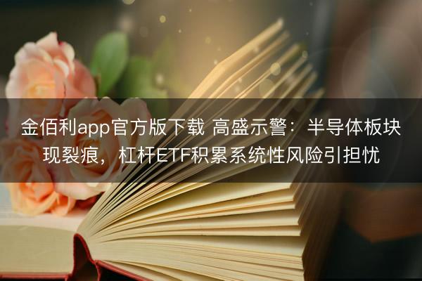 金佰利app官方版下载 高盛示警：半导体板块现裂痕，杠杆ETF积累系统性风险引担忧