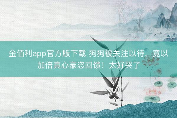 金佰利app官方版下载 狗狗被关注以待，竟以加倍真心豪恣回馈！太好哭了