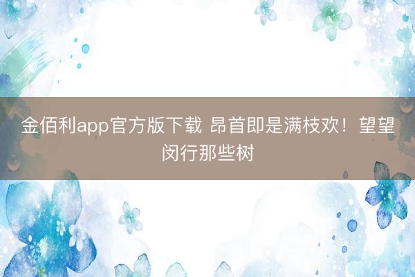 金佰利app官方版下载 昂首即是满枝欢！望望闵行那些树