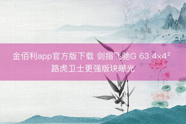 金佰利app官方版下载 剑指飞驰G 63 4×4² 路虎卫士更强版块曝光
