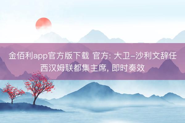 金佰利app官方版下载 官方: 大卫-沙利文辞任西汉姆联都集主席， 即时奏效