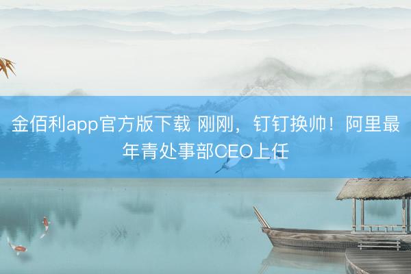 金佰利app官方版下载 刚刚，钉钉换帅！阿里最年青处事部CEO上任