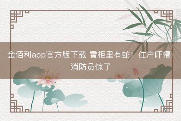 金佰利app官方版下载 雪柜里有蛇！住户吓懵 消防员惊了