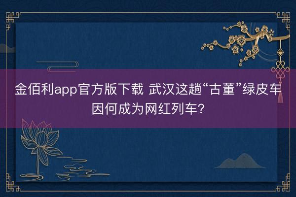金佰利app官方版下载 武汉这趟“古董”绿皮车因何成为网红列车？