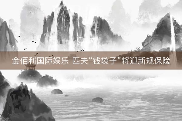 金佰利国际娱乐 匹夫“钱袋子”将迎新规保险